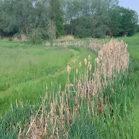 Kleines In Erfurt-schmira *