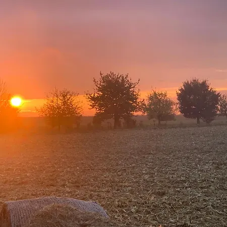 Kleines In Erfurt-schmira Apartment *
