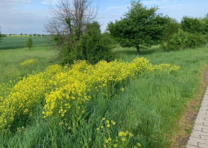 Kleines In Erfurt-schmira