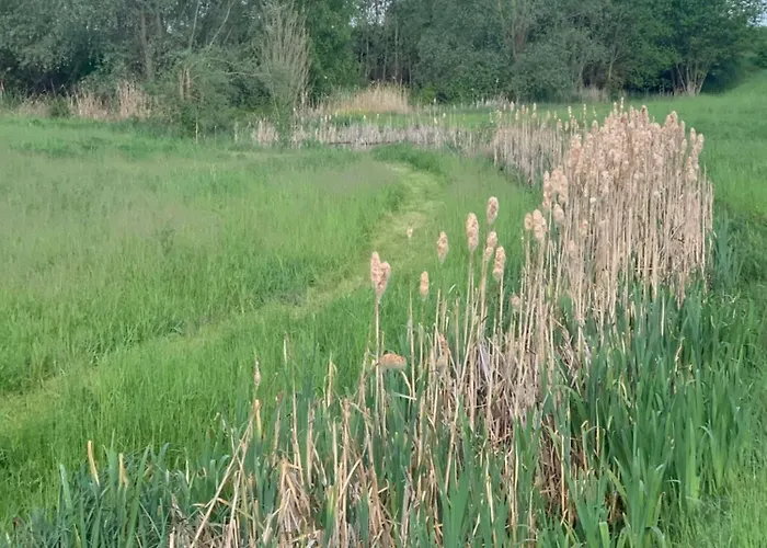 Kleines In Erfurt-schmira *