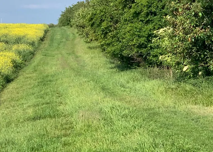 Kleines In Erfurt-schmira Daire Erfurt